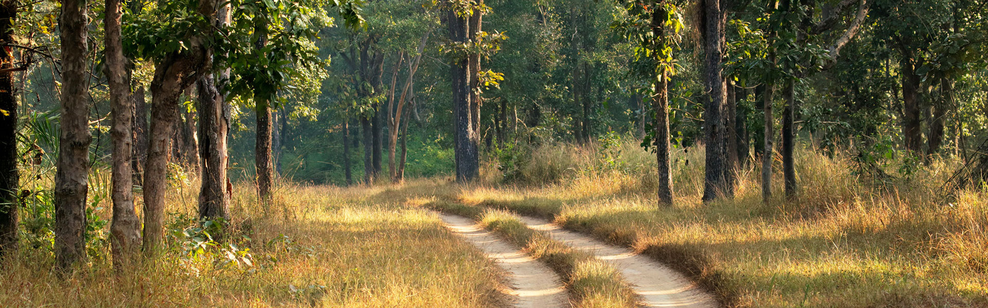 Kanha National Park