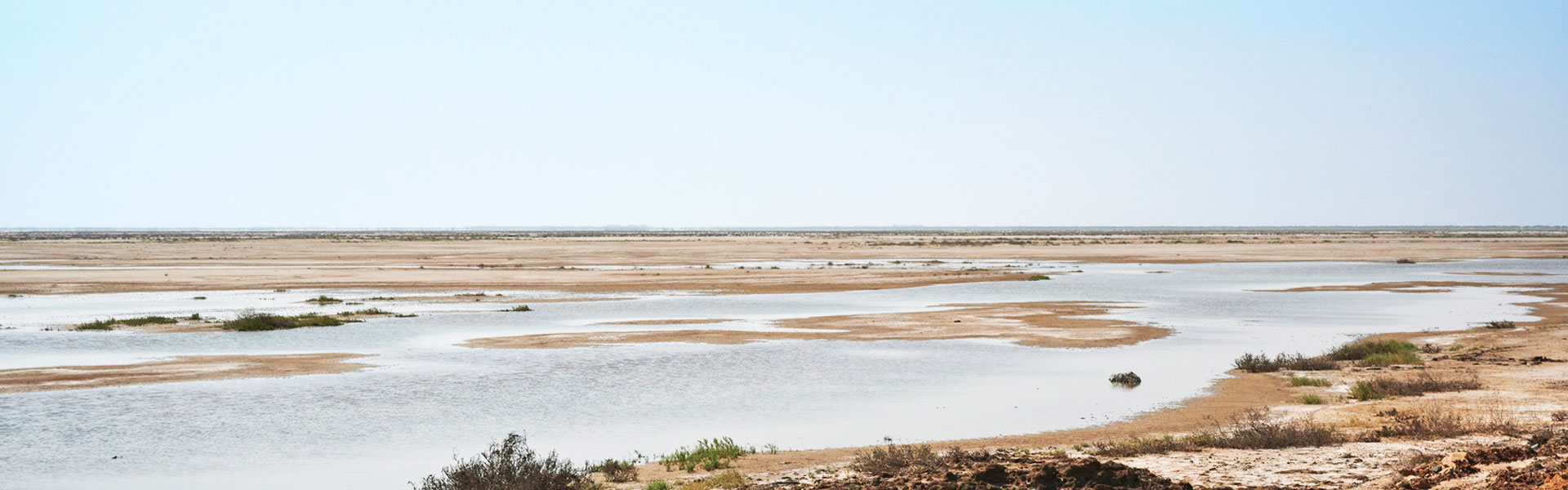 Little Rann of Kutch