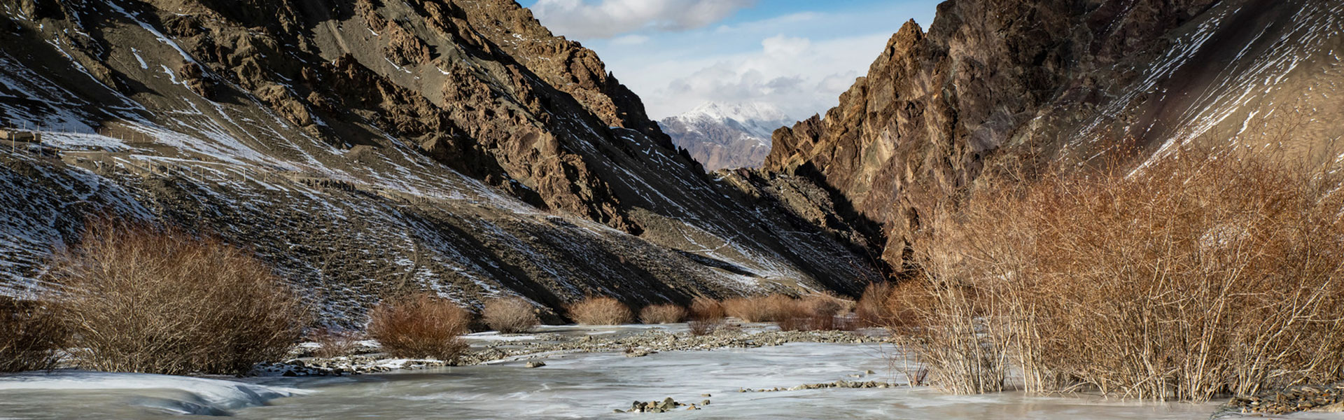 Ghost of the Himalayas - Snow Leopard Expedition