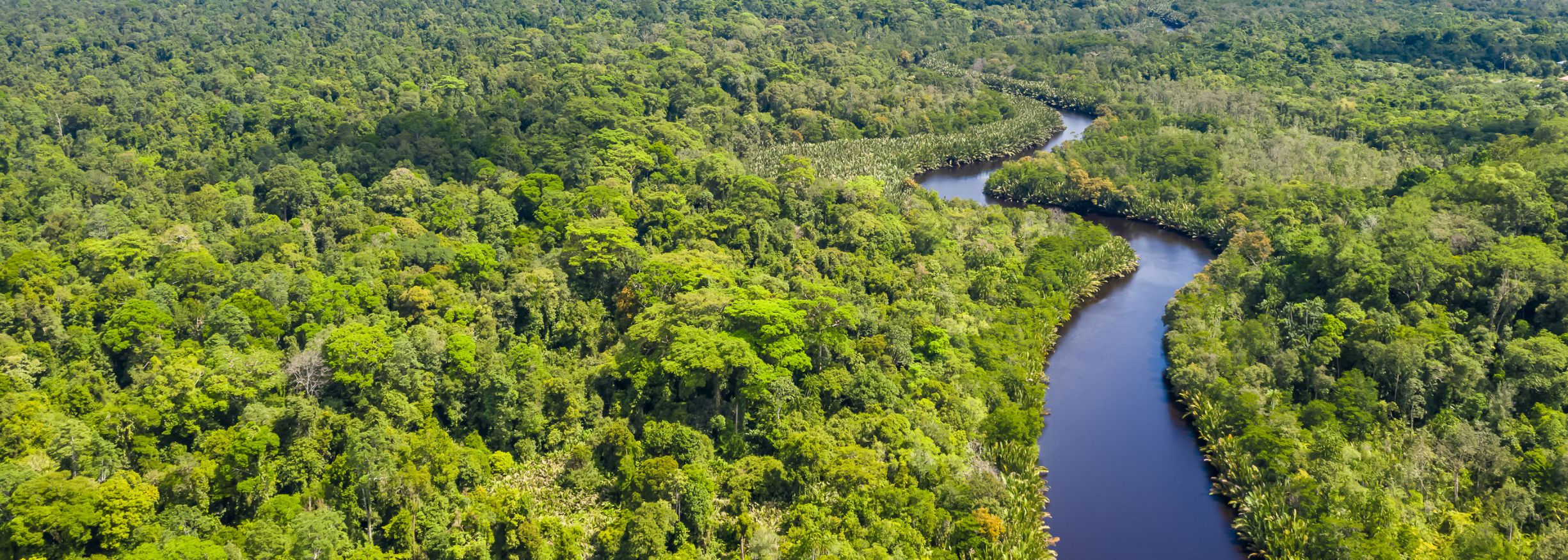 Traversing Through Borneo