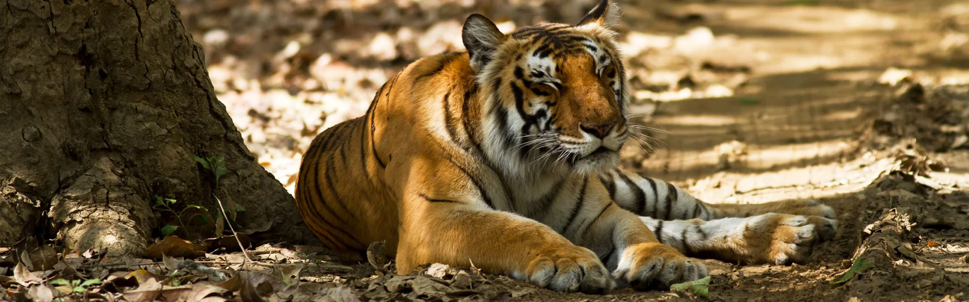 Group Departure - Jim Corbett