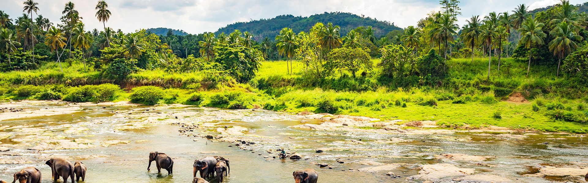 Stunning Srilanka