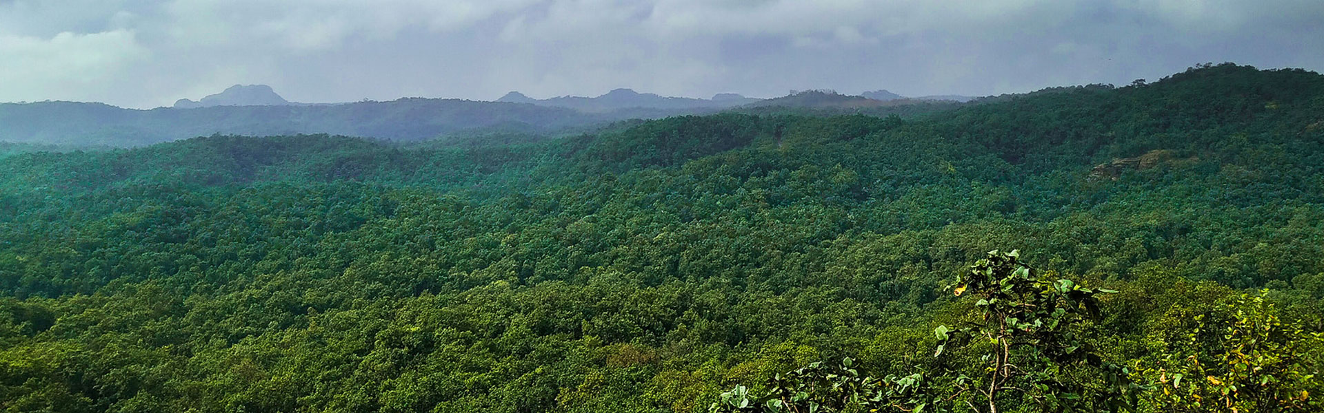 Satpura National Park