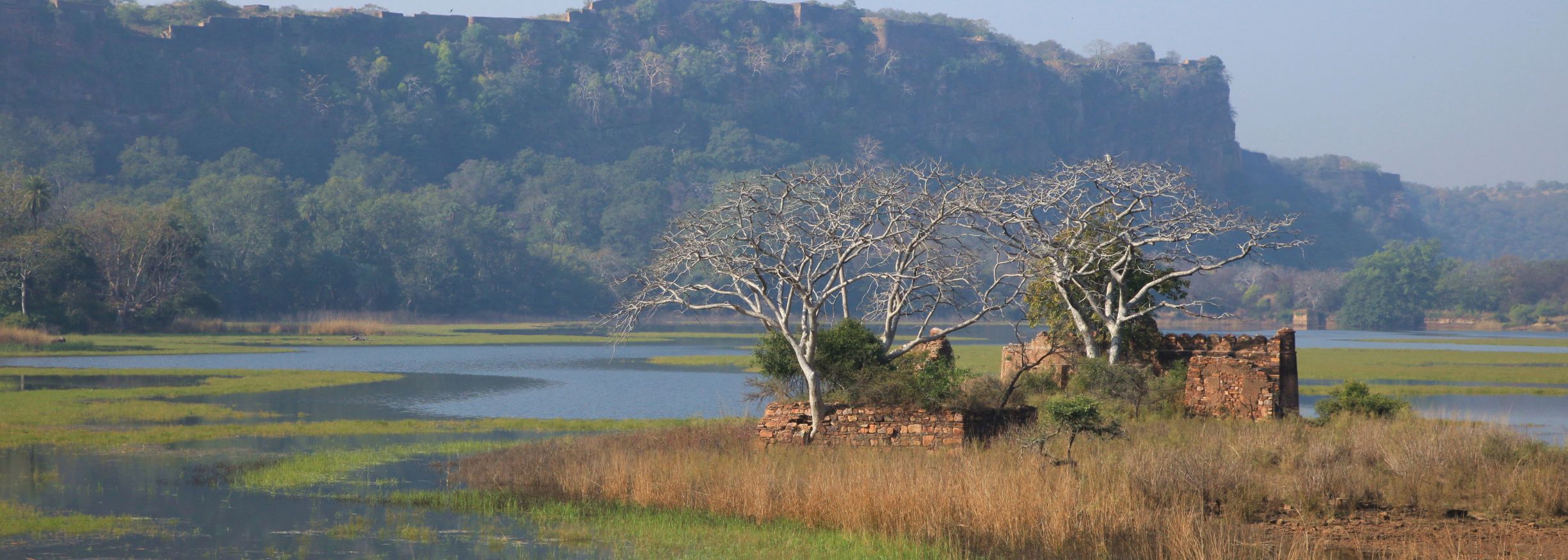 Ranthambhore national Park - Echoes of the wild